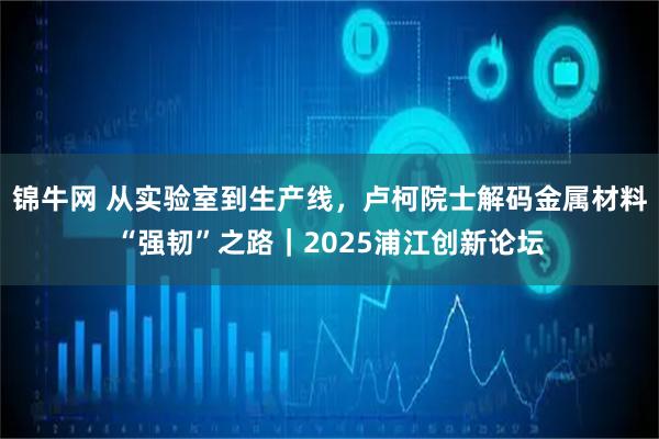 锦牛网 从实验室到生产线，卢柯院士解码金属材料“强韧”之路｜2025浦江创新论坛