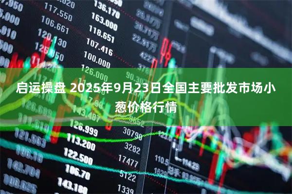 启运操盘 2025年9月23日全国主要批发市场小葱价格行情