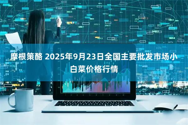 摩根策酪 2025年9月23日全国主要批发市场小白菜价格行情