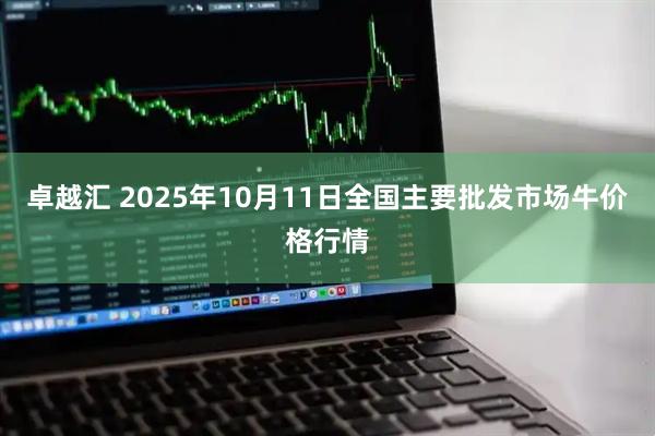 卓越汇 2025年10月11日全国主要批发市场牛价格行情