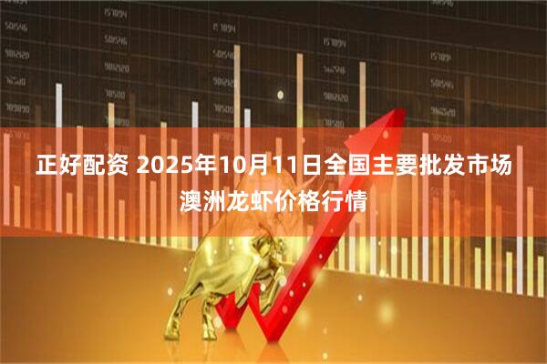 正好配资 2025年10月11日全国主要批发市场澳洲龙虾价格行情