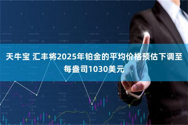 天牛宝 汇丰将2025年铂金的平均价格预估下调至每盎司1030美元